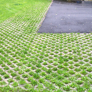 Gạch bê tông trồng cỏ